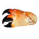 cangrejo moro 1.webp