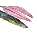 mahi mahi 1.webp