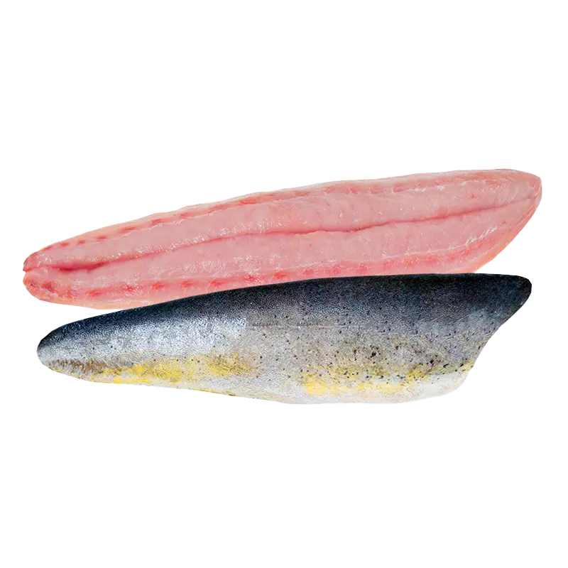 mahi mahi.webp