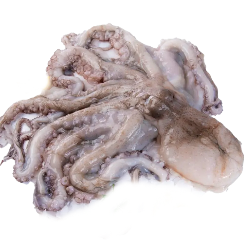 Pulpo 