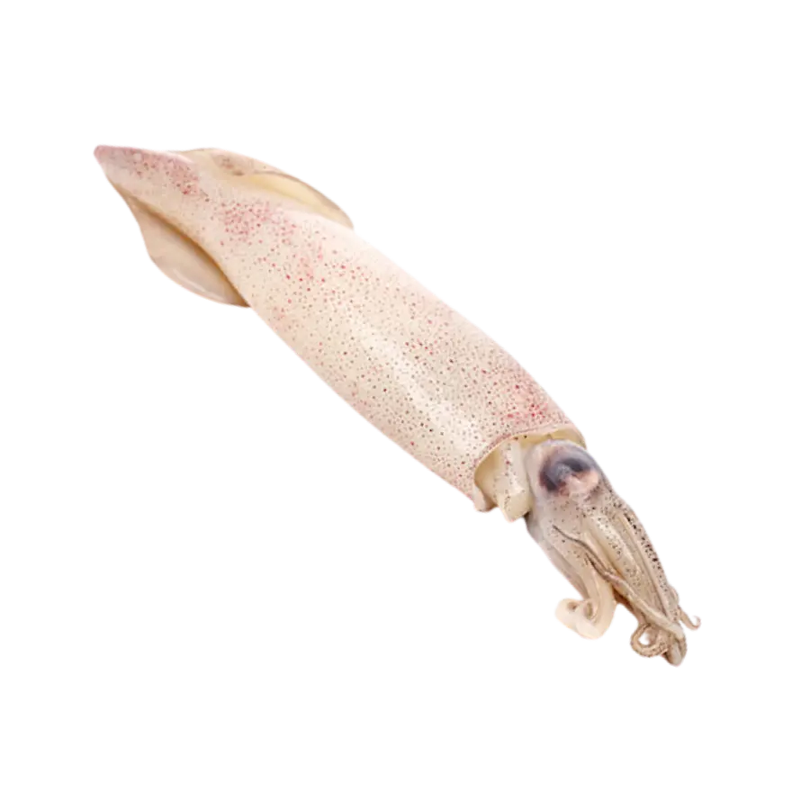 Calamar Limpio 2.5LB