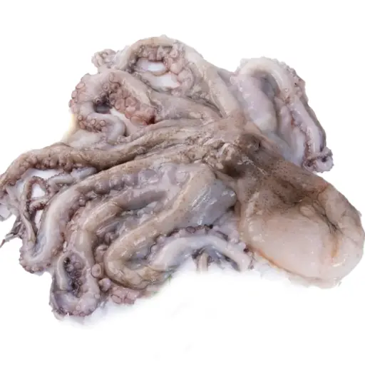 [FILIPINO] Pulpo 