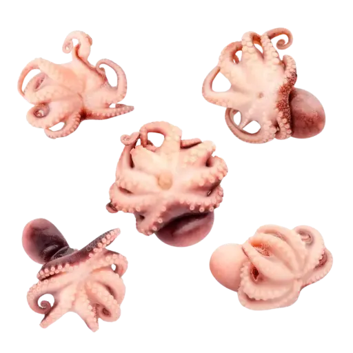Pulpos Bebe